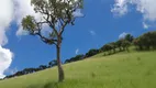 Foto 10 de Fazenda/Sítio à venda, 20000m² em Zona Rural, Marmelópolis