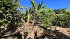 Foto 25 de Fazenda/Sítio com 3 Quartos à venda, 200m² em Glebas Califórnia, Santa Bárbara D'Oeste