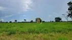 Foto 5 de Fazenda/Sítio à venda, 5856400m² em Zona Rural, Britânia