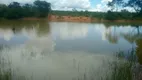 Foto 53 de Fazenda/Sítio com 3 Quartos à venda, 70m² em Zona Rural, João Pinheiro