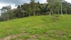 Foto 16 de Fazenda/Sítio à venda, 42000m² em Zona Rural, Paraisópolis