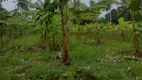 Foto 17 de Fazenda/Sítio com 3 Quartos à venda, 5000m² em Centro, Rio do Fogo