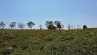 Foto 6 de Fazenda/Sítio com 4 Quartos à venda, 205700m² em Zona Rural, Itu