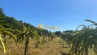Foto 11 de Fazenda/Sítio com 4 Quartos à venda, 242000000m² em Zona Rural, Auriflama