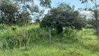 Foto 46 de Fazenda/Sítio com 2 Quartos à venda, 320000m² em Regiao dos Lagos, Brasília