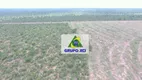 Foto 9 de Fazenda/Sítio à venda, 59200000m² em Zona Rural, São Félix do Araguaia