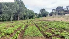 Foto 10 de Fazenda/Sítio com 2 Quartos à venda, 5250m² em Colônia Murici, São José dos Pinhais