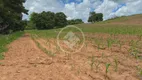 Foto 24 de Fazenda/Sítio à venda, 20m² em Zona Rural, Hidrolândia