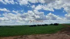 Foto 41 de Fazenda/Sítio à venda, 4910000m² em Centro, Jataí