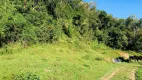 Foto 6 de Lote/Terreno à venda, 20000m² em Alto Garcia, Angelina