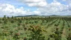 Foto 4 de Fazenda/Sítio à venda, 3000000m² em Zona Rural, Maceió