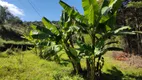 Foto 33 de Fazenda/Sítio à venda, 10000m² em Zona Rural, Marmelópolis