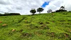 Foto 10 de Fazenda/Sítio à venda, 726000m² em Centro, Itapeva