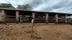 Foto 9 de Fazenda/Sítio com 4 Quartos à venda, 20m² em Alexania, Alexânia