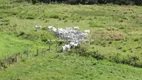 Foto 27 de Fazenda/Sítio com 4 Quartos à venda, 1597200m² em Zona Rural, Silva Jardim