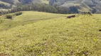 Foto 17 de Fazenda/Sítio à venda, 200000m² em Zona Rural, Cristina