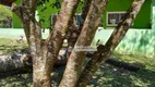 Foto 10 de Fazenda/Sítio com 3 Quartos para venda ou aluguel, 100m² em Jardim Santa Tereza, São Paulo