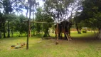 Foto 10 de Fazenda/Sítio com 3 Quartos à venda, 387200m² em Tres Corregos, Campo Largo