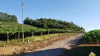 Foto 5 de Lote/Terreno à venda, 266000m² em Zona Rural, 