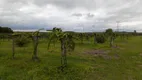 Foto 6 de Fazenda/Sítio com 2 Quartos à venda, 400m² em Saltinho, Elias Fausto