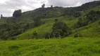 Foto 10 de Fazenda/Sítio com 1 Quarto à venda, 140000m² em Zona Rural, Delfim Moreira