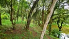 Foto 6 de Fazenda/Sítio com 1 Quarto à venda, 9400m² em Roça Velha, São José dos Pinhais