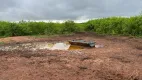 Foto 10 de Fazenda/Sítio com 5 Quartos à venda, 5000m² em Centro, Formoso do Araguaia