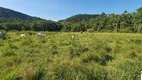 Foto 17 de Lote/Terreno à venda, 50000m² em Rio do Meio, Camboriú