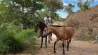 Foto 53 de Fazenda/Sítio com 4 Quartos à venda, 20000m² em Area Rural de Santa Luzia, Santa Luzia