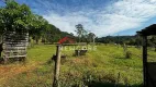 Foto 20 de Fazenda/Sítio com 2 Quartos à venda, 200m² em Centro, Botucatu