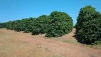 Foto 20 de Fazenda/Sítio à venda, 3650000m² em Vila Pinto, Varginha