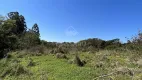 Foto 10 de Lote/Terreno à venda, 10550m² em , Paiçandu