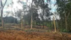 Foto 4 de Lote/Terreno à venda, 1000m² em Vale Verde, Mateus Leme