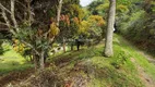 Foto 8 de Fazenda/Sítio com 3 Quartos à venda, 200m² em Salvaterra, Juiz de Fora