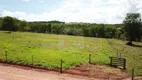 Foto 2 de Fazenda/Sítio à venda, 20000m² em Martinesia, Uberlândia