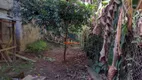 Foto 14 de Fazenda/Sítio com 3 Quartos à venda, 101m² em Jardim Santa Paula, Cotia