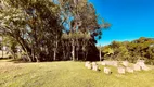 Foto 6 de Fazenda/Sítio à venda, 145000m² em Butiatuva, Campo Largo