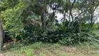 Foto 4 de Lote/Terreno à venda, 250m² em PRAIA DE MARANDUBA, Ubatuba