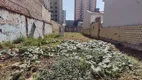 Foto 3 de Lote/Terreno para venda ou aluguel, 500m² em Vila Bertioga, São Paulo