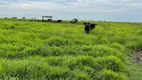 Foto 10 de Fazenda/Sítio com 6 Quartos à venda, 1000m² em Centro, Araguaiana