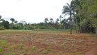 Foto 12 de Fazenda/Sítio com 3 Quartos à venda, 160m² em Tocantins, Uberlândia