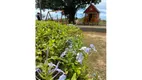 Foto 8 de Lote/Terreno à venda em Centro, Riacho das Almas