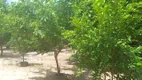 Foto 8 de Fazenda/Sítio com 3 Quartos à venda, 3000m² em  Zona Rural, Teresina