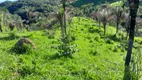 Foto 37 de Fazenda/Sítio com 2 Quartos à venda, 2640000m² em Trajanopolis, Padre Bernardo