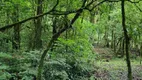 Foto 22 de Fazenda/Sítio com 3 Quartos à venda, 3200m² em Roseira de São Sebastião, São José dos Pinhais