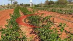 Foto 7 de Fazenda/Sítio com 2 Quartos à venda, 24m² em Sítios Reunidos de Santa Maria, Bauru