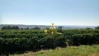 Foto 6 de Fazenda/Sítio com 1 Quarto à venda, 200m² em Zona Rural, Piumhi