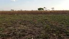 Foto 23 de Lote/Terreno à venda, 2500m² em Sul (Águas Claras), Brasília