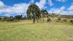 Foto 9 de Fazenda/Sítio à venda, 90000m² em Perico, São Joaquim