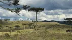 Foto 13 de Fazenda/Sítio à venda em Zona Rural, Urubici